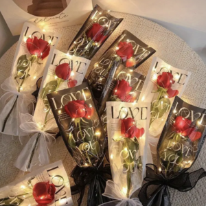 Single Stem Red Rose symbolizing love and passion